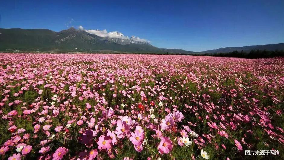 5b4801509a06b.jpg 640.jpg