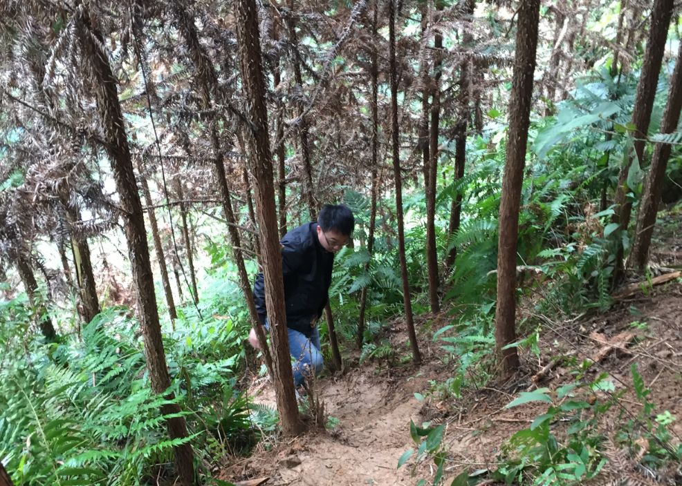 5b6153f20c5ed.jpg 4.jpg